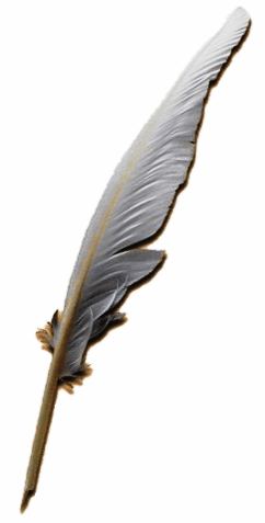 Tiedosto:Quill_pen.PNG