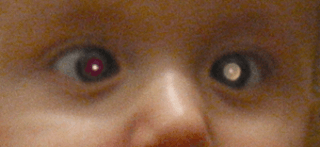 Datoteka:Rb_whiteeye.PNG